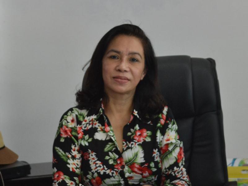 Bà Nguyễn Thị Xuân,  Giám đốc Công ty cổ phần Thép Dana - Úc: Năm 2016, thép Việt vẫn sống khoẻ