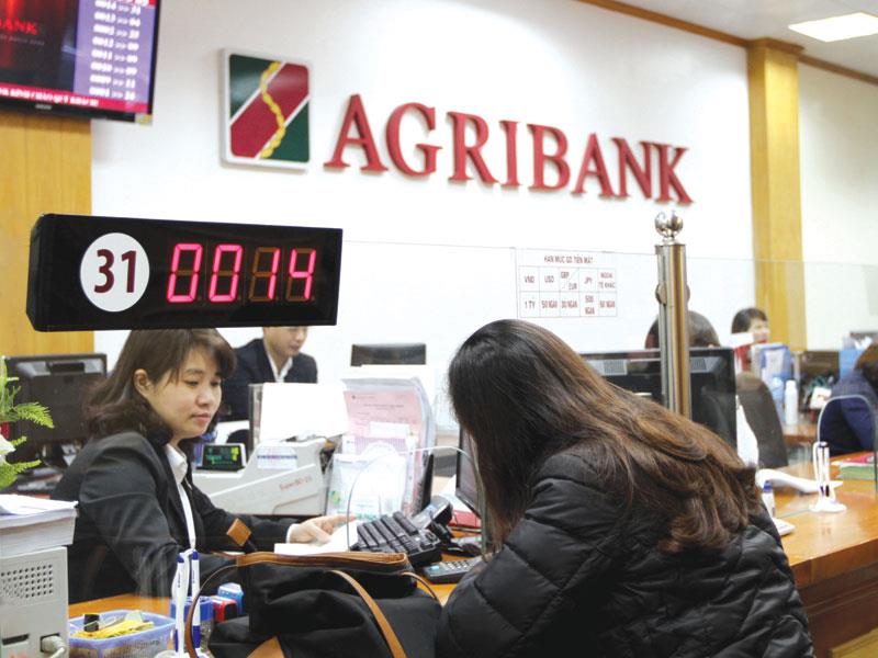 Vốn tín dụng của Agribank đã góp phần không nhỏ vào phát triển kinh tế nông nghiệp, nông thôn