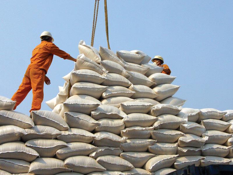 Cạnh tranh trong xuất khẩu gạo ngày càng gay gắt, không chỉ về giá xuất khẩu, mà cả chất lượng và thương hiệu. Ảnh: Đức Thanh