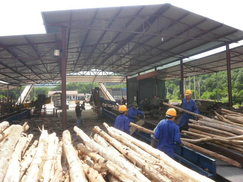 Công TNHH MTV Lâm nghiệp Vân Đồn đã tạo được doanh thu lớn từ hoạt động chế biến dăm gỗ xuất khẩu.