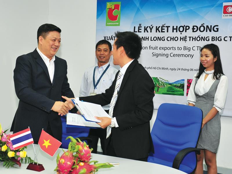 Cái bắt tay của Tập đoàn TCC và Công ty TNHH Xuất nhập khẩu Cao Thành Phát đã mở đường cho 100 tấn thanh long đầu tiên có mặt tại hệ thống Big C Thái Lan.