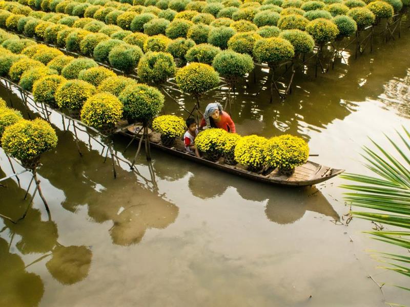 Đồng bằng sông Cửu Long đóng góp 41% giá trị sản xuất nông nghiệp và 20% GDP của cả nước.