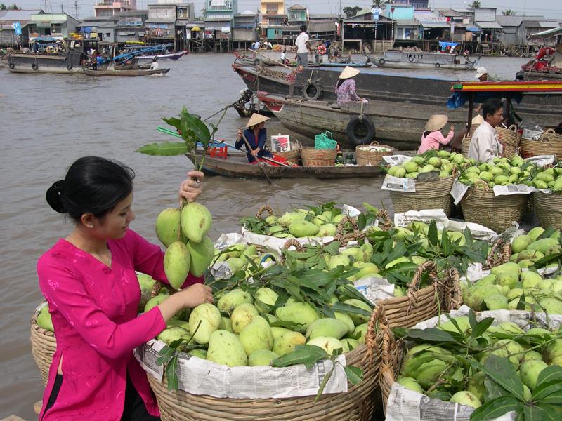 Chợ nổi là nét đặc trưng của Đồng bằng sông Cửu Long, thuận lợi cho phát triển du lịch sông nước.