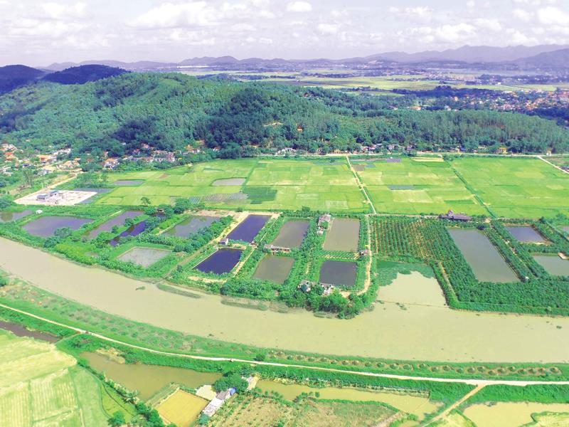 Mô hình nông nghiệp công nghệ cao đang phát triển mạnh tại Đông Triều. Ảnh: Thanh Tùng