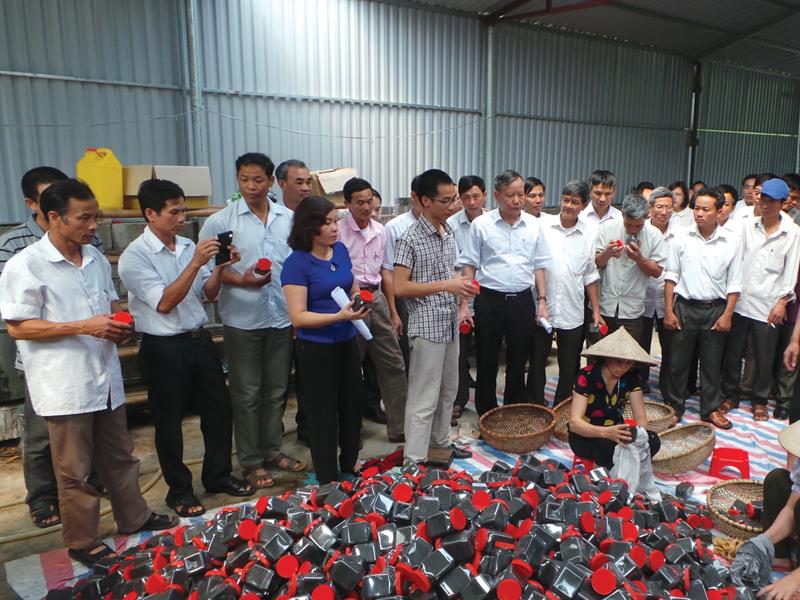 Liên minh Hợp tác xã tỉnh Ninh Bình đưa đoàn tham quan HTX Sinh Dược để hợp tác mở rộng vùng nguyên liệu.