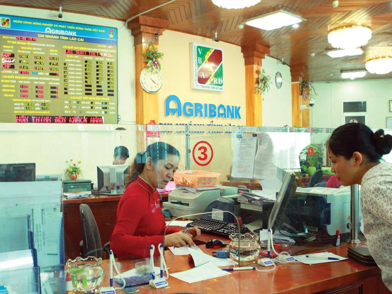 ngân hàng Agribank đang mong sớm được cổ phần hóa. Ảnh: Đức Thanh