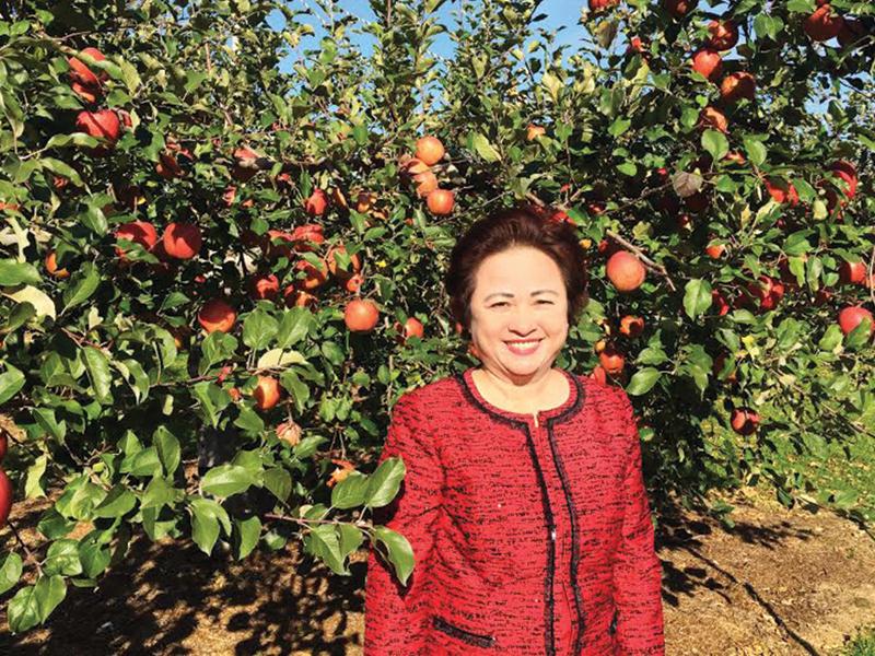 Bà Nguyễn Thị Nga trong vườn táo tại vùng Aomori Nhật Bản.
