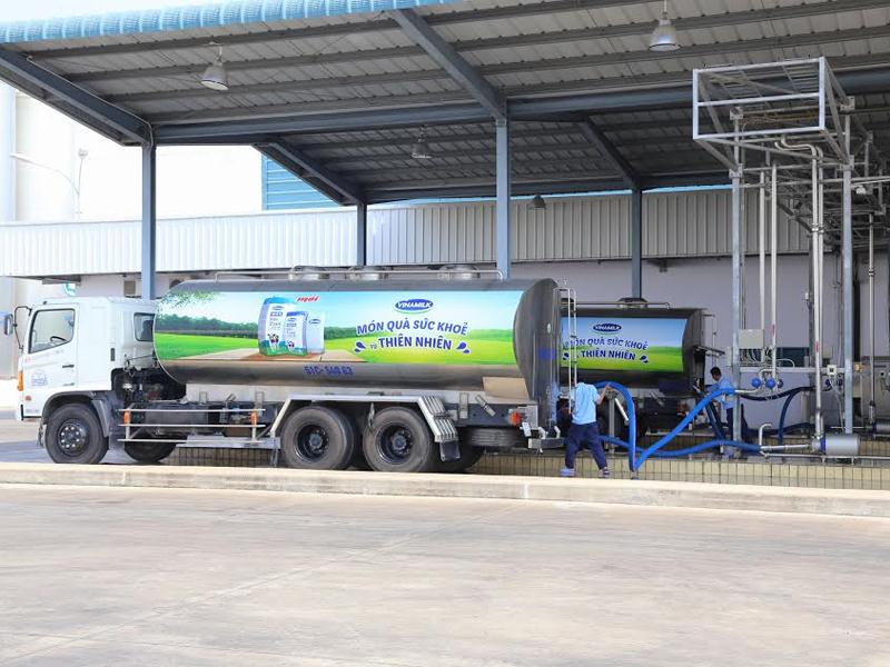 Nhà máy đang tiếp nhận sữa tươi nguyên liệu từ các xe bồn chuyên dụng, chuẩn bị đưa ngay vào sản xuất.