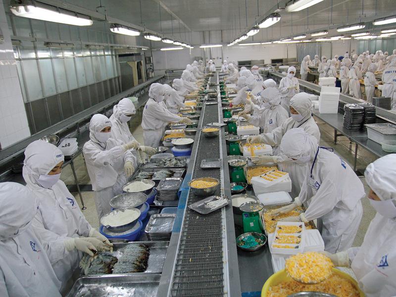 Công ty Hùng Vương (HVG) từng đứng đầu trong ngành hải sản. Trong ảnh: Xưởng sản xuất của HVG. Ảnh: Dũng Minh