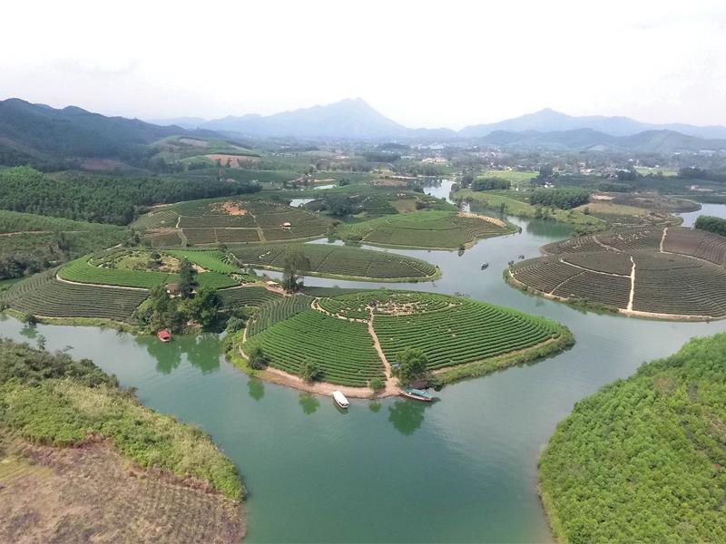 Núi chè ở huyện Thanh Chương vừa được UBND tỉnh Nghệ An cấp phép cho CIENCO4 đầu tư Dự án du lịch.