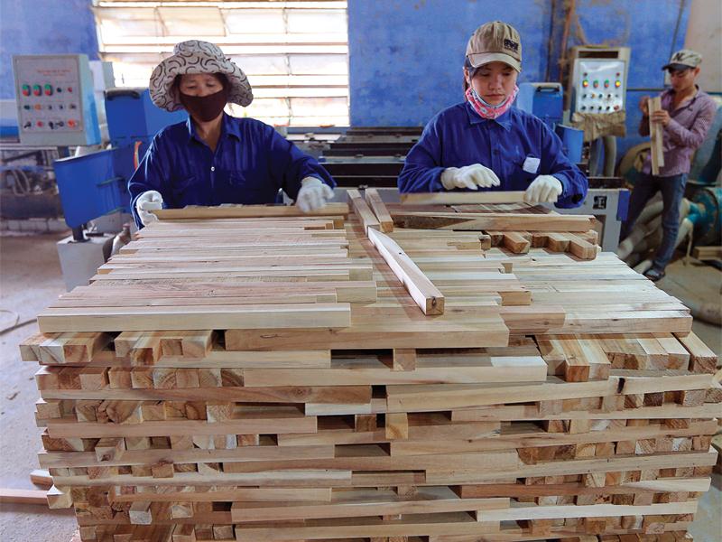 Bài toán chuyển đổi để “nói không với gỗ bất hợp pháp” đã được doanh nghiệp ngành gỗ chú ý tới.