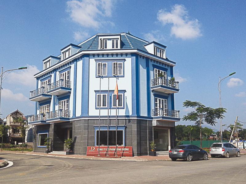 Dự án Trung tâm thương mại và nhà ở tại thị trấn Lương Sơn (Hòa Bình) do Công ty CP Đông Dương làm chủ đầu tư.