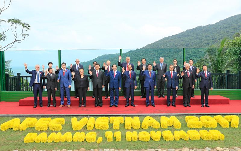 Bao trùm và nổi bật nhất của hoạt động đối ngoại năm 2017 là việc Việt Nam đã đảm nhiệm xuất sắc vai trò chủ nhà Năm APEC 2017, với đỉnh cao là Tuần lễ Cấp cao APEC tại Đà Nẵng vào tháng 11 với Tuyên bố Đà Nẵng. Sự kiện này đã tạo hiệu ứng tích cực trên nhiều phương diện, tiếp tục khẳng định APEC là diễn đàn hợp tác, liên kết kinh tế hàng đầu khu vực, làm nổi bật vai trò của Việt Nam đối với một sự kiện mang tầm vóc 