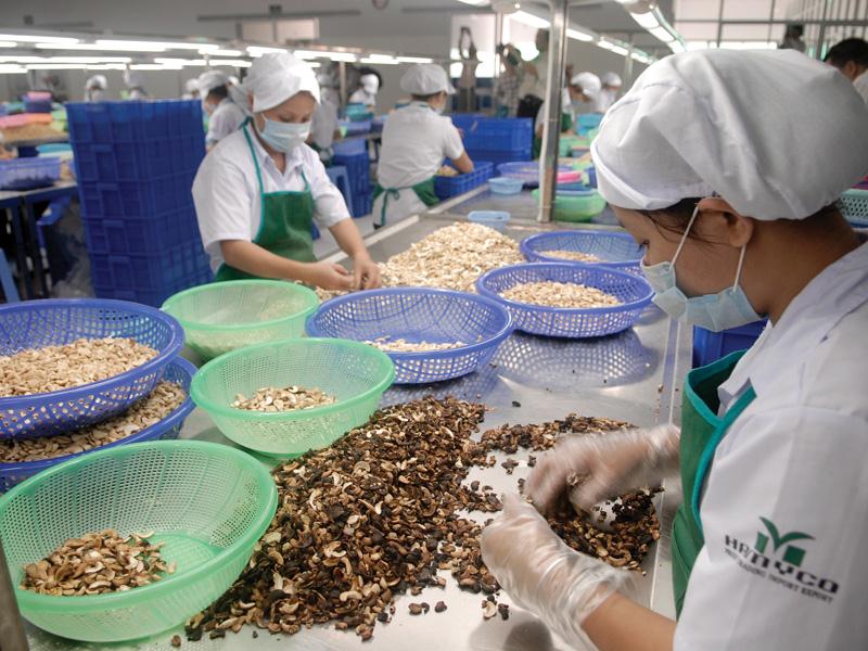 CPTPP tạo cơ hội mới để doanh nghiệp Việt Nam tăng nhanh kim ngạch xuất khẩu nông sản, thực phẩm sang các nước thành viên. Ảnh: Lê Toàn