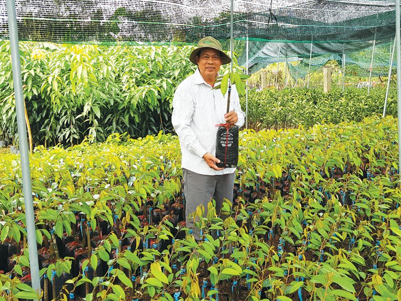 Doanh nhân Ngô Văn Mười, chủ 4 cơ sở sản xuất cây giống tại Chợ ...