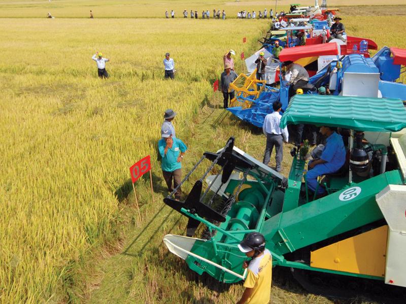 Nhờ tăng diện tích canh tác, nông dân Đồng bằng sông Cửu Long có điều kiện đầu tư thiết bị, máy móc vào sản xuất. Ảnh: H.D