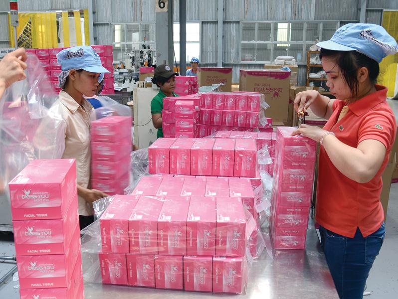 Khối ngoại đang chiếm ưu thế trong ngành sản xuất giấy tiêu dùng tại Việt Nam. Ảnh: Đức Thanh