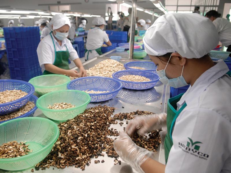Hàng nông sản xuất khẩu của Việt Nam vẫn chủ yếu dưới dạng thô. Ảnh: Đức Thanh