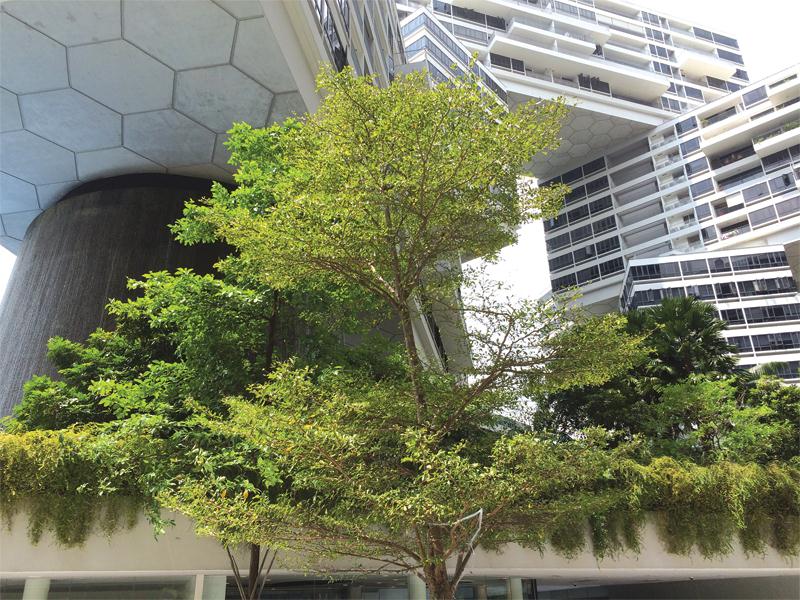 Công trình The Interlace tại Singapore được thiết kế bởi kiến trúc sư Buro Ole Scheeren