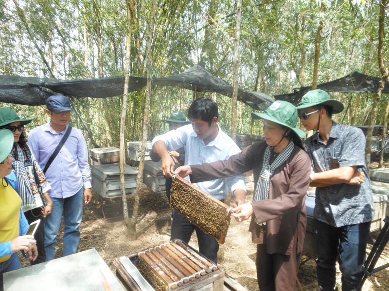 Du khách tham quan mô hình nuôi ong lấy mật tại hộ du lịch cộng đồng huyện Tam Nông (Đồng Tháp)