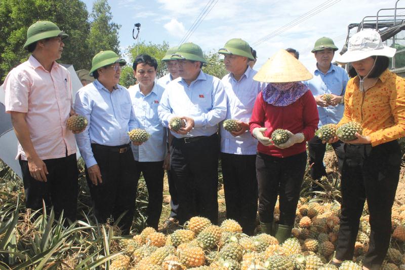 Bộ trưởng Bộ Kế hoạch và Đầu tư Nguyễn Chí Dũng (thứ tư từ trái sang) khảo sát mô hình trồng dứa công nghệ cao tại huyện Cam Lộ (tỉnh Quảng Trị)