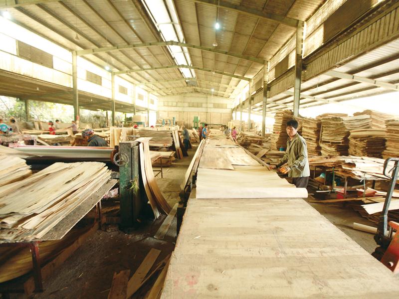 Việc xây dựng và thực hiện quy định về mức sử dụng năng lượng với ngành chế biến gỗ cần có lộ trình và nguồn lực.