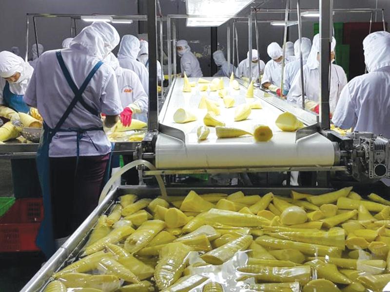 Nhà máy chế biến rau củ quả của Công ty cổ phần Thực phẩm xuất khẩu Đồng Dao (Doveco) 