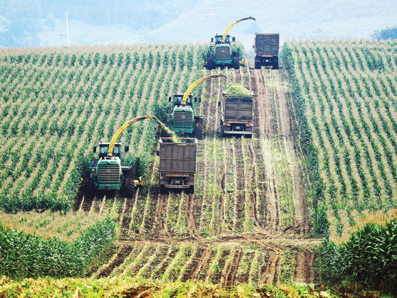 Với việc áp dụng công nghệ mới, chuyển dịch cây trồng trên vùng đất lúa…, dư địa tăng trưởng trong nông nghiệp còn rất lớn. Ảnh: Đức Thanh
