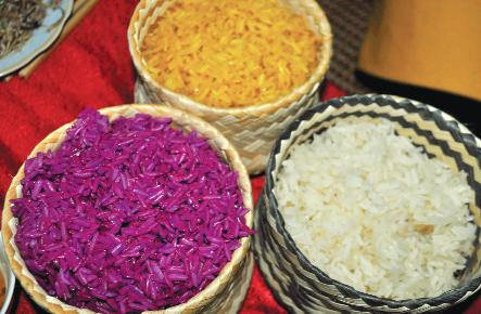 Gạo Điện Biên nổi tiếng với sự dẻo thơm, trắng bóng, đậm đà.