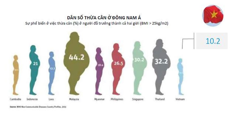 So với các quốc gia khác trong khu vực, Việt Nam có tỉ lệ béo phì khá thấp (nguồn: Internet)