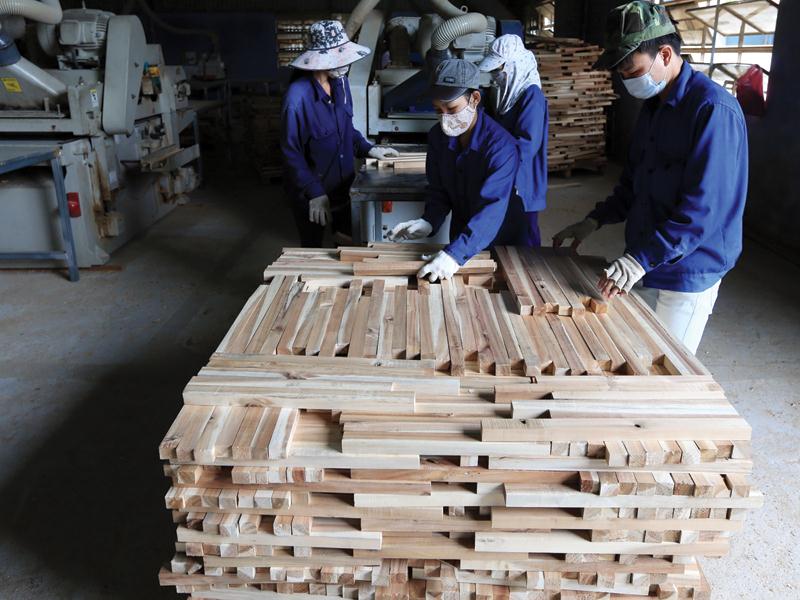 Ngành gỗ Việt Nam đạt giá trị xuất khẩu cao trong năm 2018