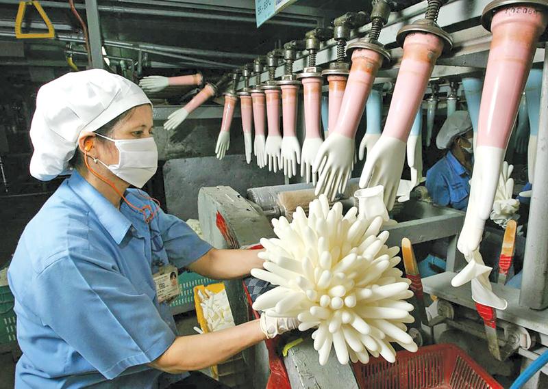Thị trường sản xuất găng tay đang bước vào cuộc cạnh tranh khốc liệt