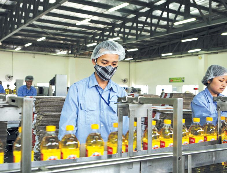 Dây chuyền sản xuất dầu ăn tại một nhà máy của Vocarimex.