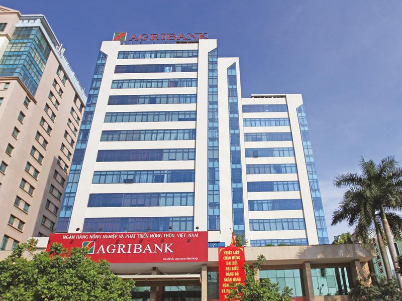 Năm 2019 được Agribank xem là năm bản lề để chuẩn bị cổ phần hóa theo chỉ đạo của Thủ tướng Chính phủ.