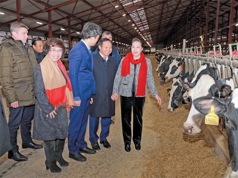 Chủ tịch Quốc hội Nguyễn Thị Kim Ngân tới thăm trang trại của TH ở Volokolamsk (Liên bang Nga).