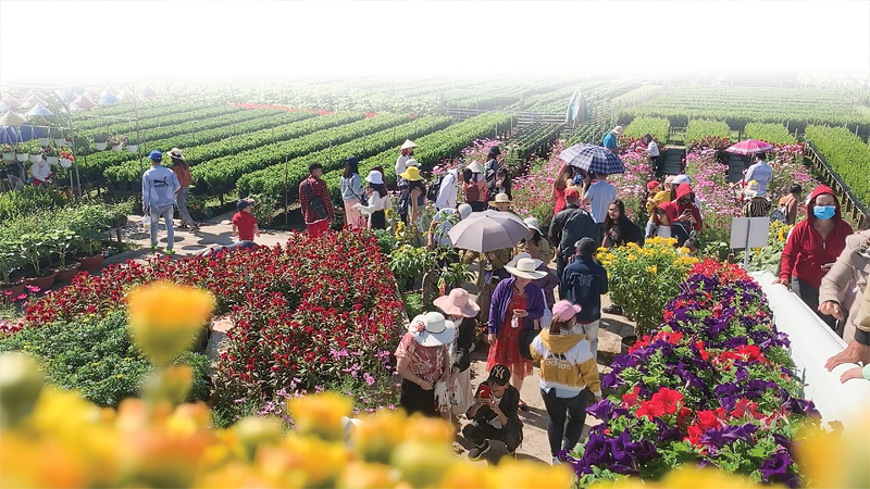 Rất đông du khách tới tham quan Làng hoa Sa Đéc nhân dịp xuân Canh Tý 2020.