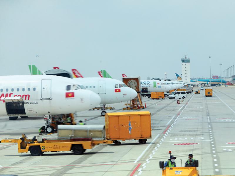 Máy bay của các hãng hàng không nằm chờ tại sân bay Tân Sơn Nhất. Ảnh: Đức Thanh