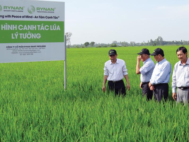 Mô hình canh tác lúa của Công ty cổ phần Rynan Smart Fertilizers ở xã Mỹ Đông, huyện Tháp Mười, tỉnh Đồng Tháp.