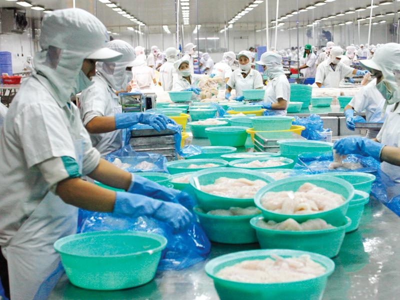 Với EVFTA, thuế nhập khẩu giảm làm tăng thêm khả năng cạnh tranh của thủy sản Việt Nam. Ảnh: Đức Thanh