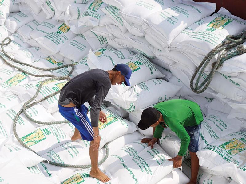 Thực thi EVFTA, EU cam kết dành cho Việt Nam xuất khẩu 80.000 tấn gạo vào thị trường này với thuế suất 0%. Ảnh: Đức Thanh