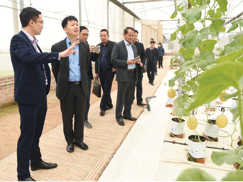 Giải pháp Smart Agriculture của VNPT thực nghiệm tại Khu công nghệ cao Hòa Lạc.