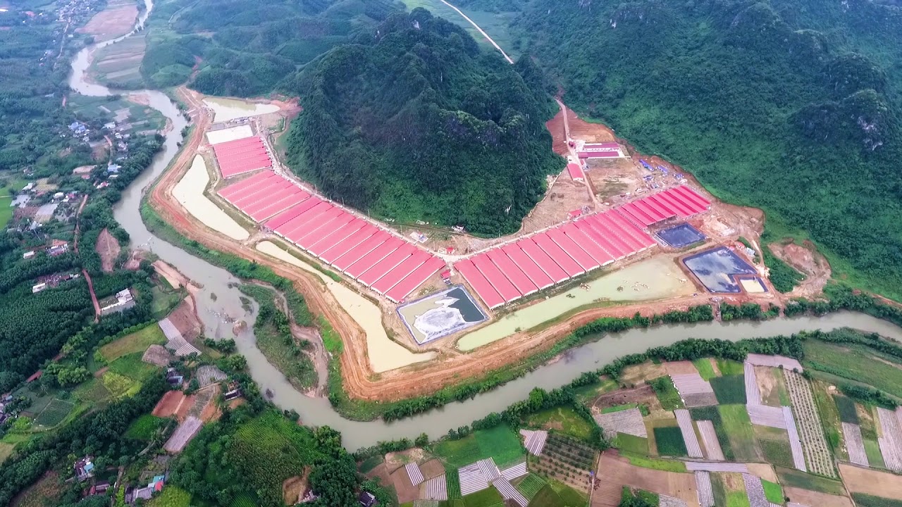 Hệ thống trang trại chăn nuôi của Dabaco Tuyên Quang tại huyện Sơn Dương.