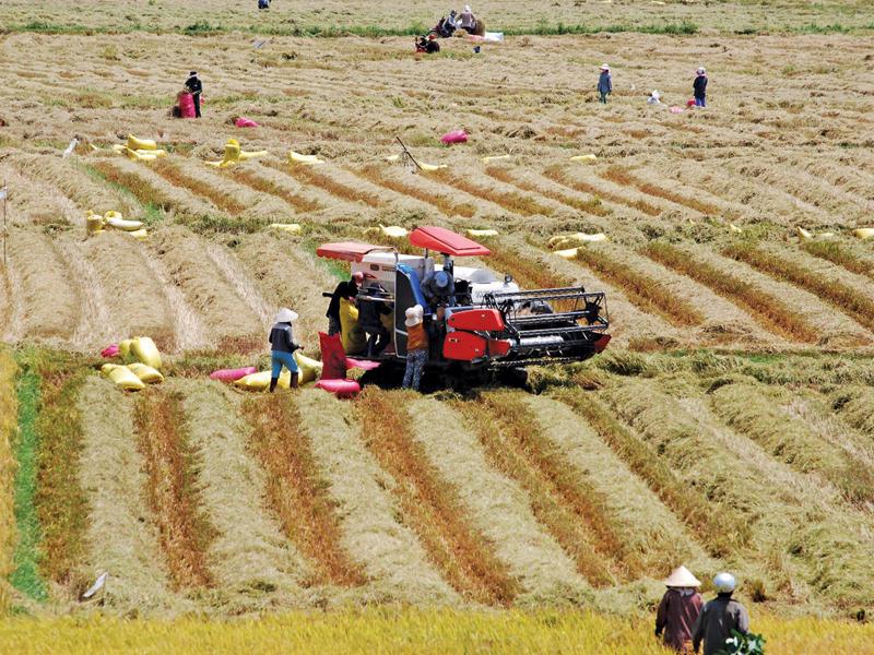Huyện Phú Hòa đã đẩy mạnh ứng dụng cơ giới hóa trong sản xuất nông nghiệp.
