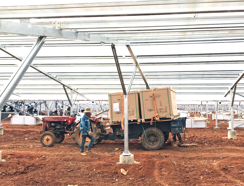 Có sự nở rộ đầu tư điện mặt trời tại các trang trại nông nghiệp ở Ninh Thuận, Bình Thuận, Đắk Nông... Ảnh: Thanh Hương