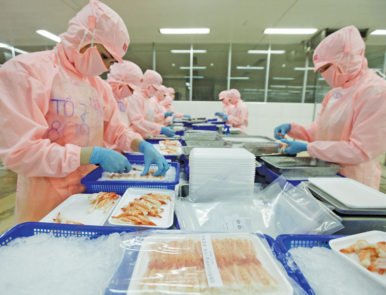 EVFTA đang tạo nhiều cơ hội cho nông, thủy sản xuất khẩu của Việt Nam. Trong ảnh: Chế biến tôm xuất khẩu tại Công ty Thủy sản Hồng Ngọc (Phú Yên). Ảnh: Đ.T