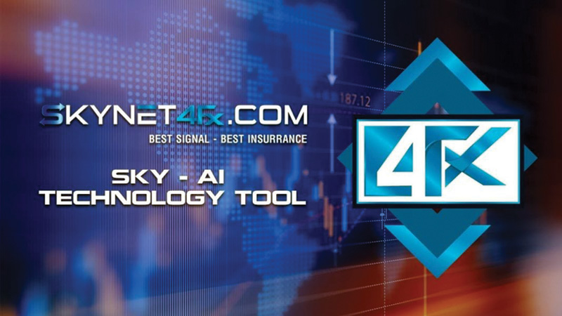 Trang web Skynet 4fx đã bị đánh sập ngày 25/2/2020. Ảnh: T.L