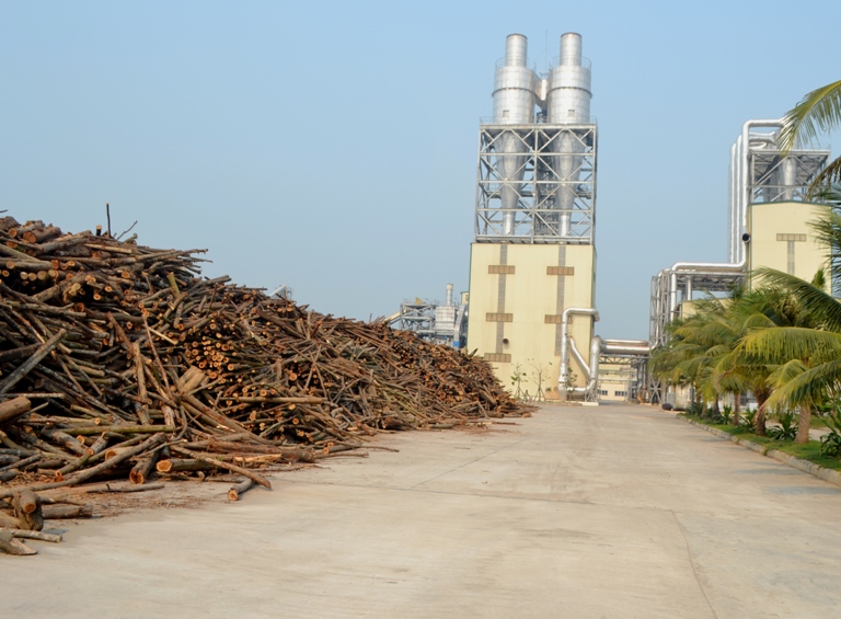 Các nhà máy chế biến gỗ sâu đang phải cạnh tranh nguyên liệu đầu vào với các nhà máy sản xuất gỗ dăm