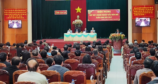 Lãnh đạo tỉnh Gia Lai gặp mặt doanh nghiệp đầu xuân Đinh Dậu