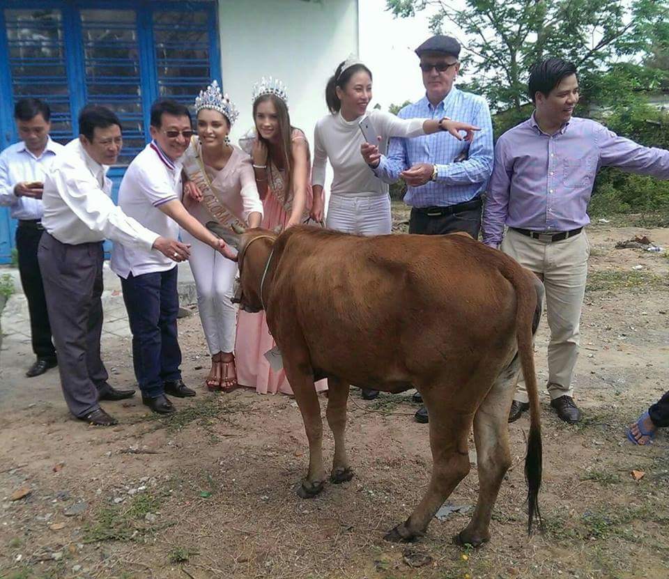 Hoa hậu Toàn cầu trao bò từ thiện cho người dân Đà Nẵng