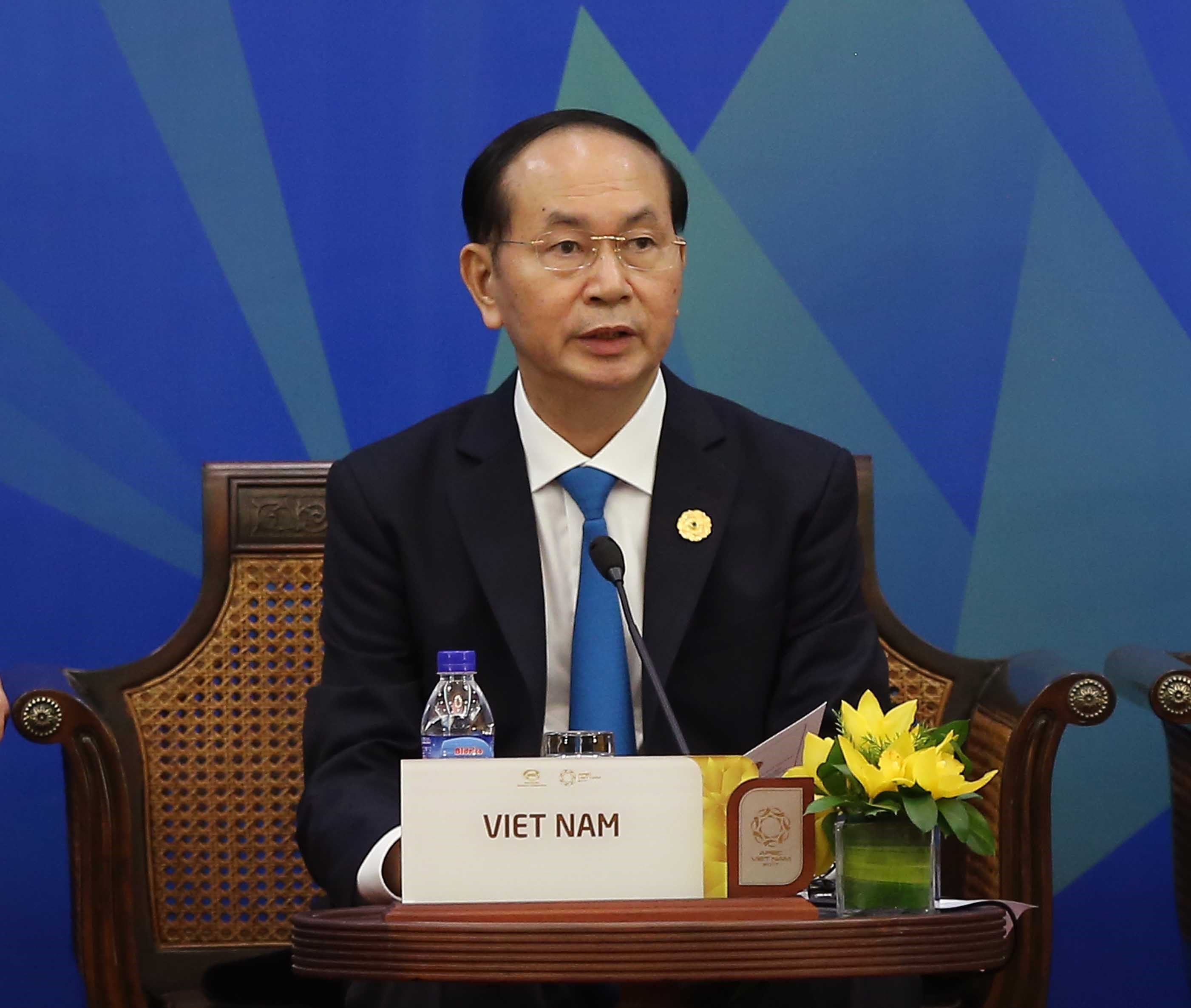 Chủ tịch nước Trần Đại Quang phát biểu tại phiên